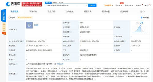 軟件的技術(shù)開(kāi)發(fā)與銷(xiāo)售 創(chuàng)新驅(qū)動(dòng)與市場(chǎng)拓展的雙重路徑