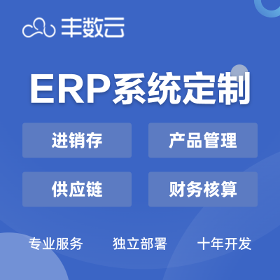豐數(shù)網(wǎng)絡(luò) 引領(lǐng)企業(yè)數(shù)字化變革的互聯(lián)網(wǎng)技術(shù)專家與綜合服務(wù)供應(yīng)商